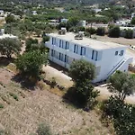 Xenia's 2