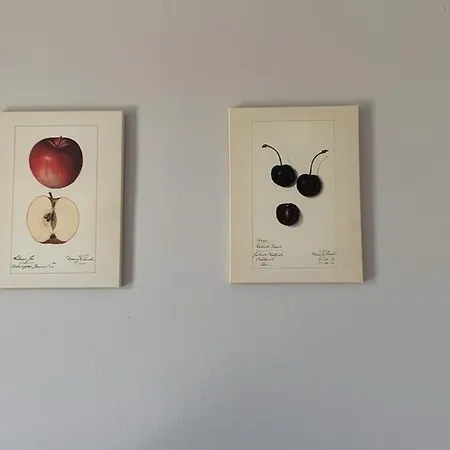 Xenia's 2 Lejlighed *