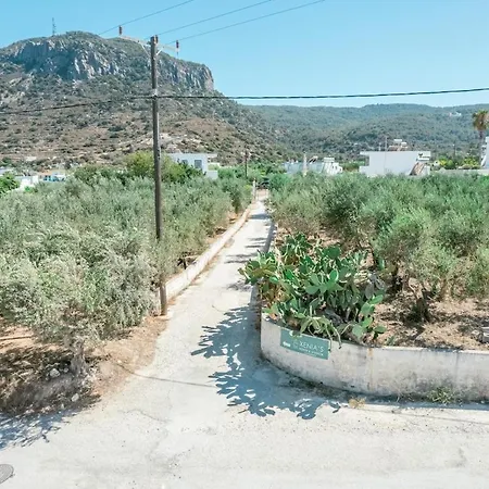 Apartament Xenia's 2 *