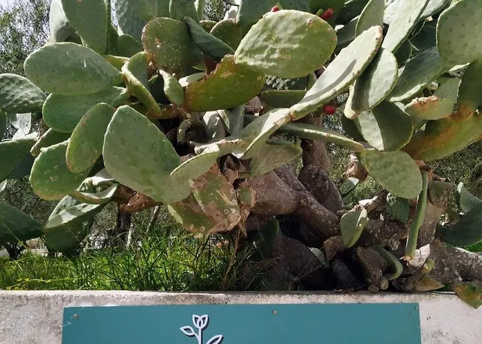 Xenia's 2 Apartament