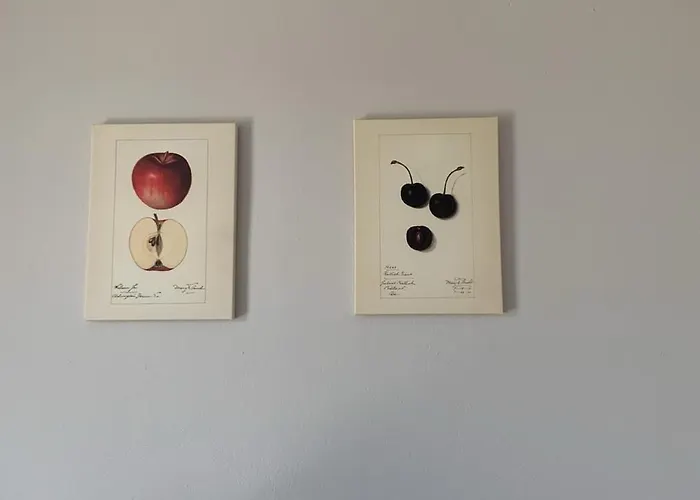 Xenia's 2 Apartament *